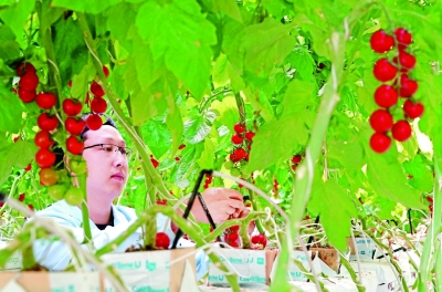 统筹发挥市场和政府作用 决战决胜脱贫攻坚 统筹发挥市场和政府作用 决战决胜脱贫攻坚
