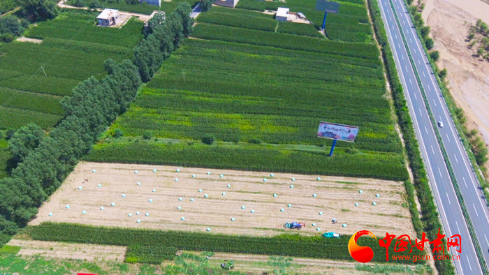【春耕】甘肃今年大中型灌区春灌面积将达386.4万亩