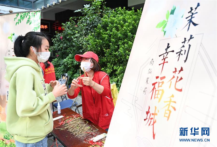 （社会）（2）福州：向市民免费送20万株茉莉花苗