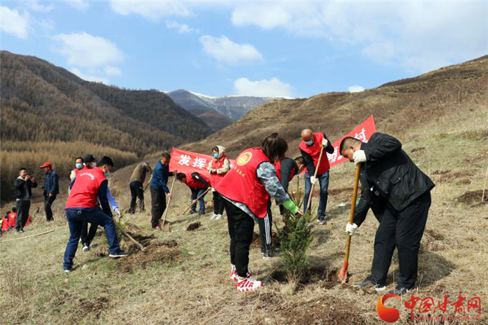 兰州市两山指挥部组织党员干部赴帮扶村植树（图）