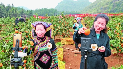 都庞岭结出幸福果——湖南江永的脱贫之路 都庞岭结出幸福果——湖南江永的脱贫之路