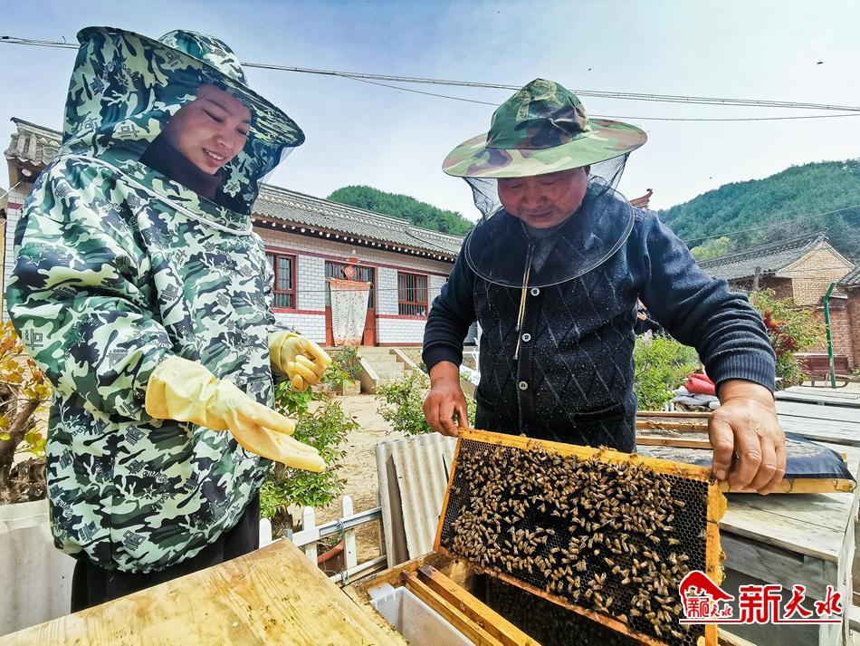 养蜂成了麦积红崖村村民脱贫的“甜蜜的事业”