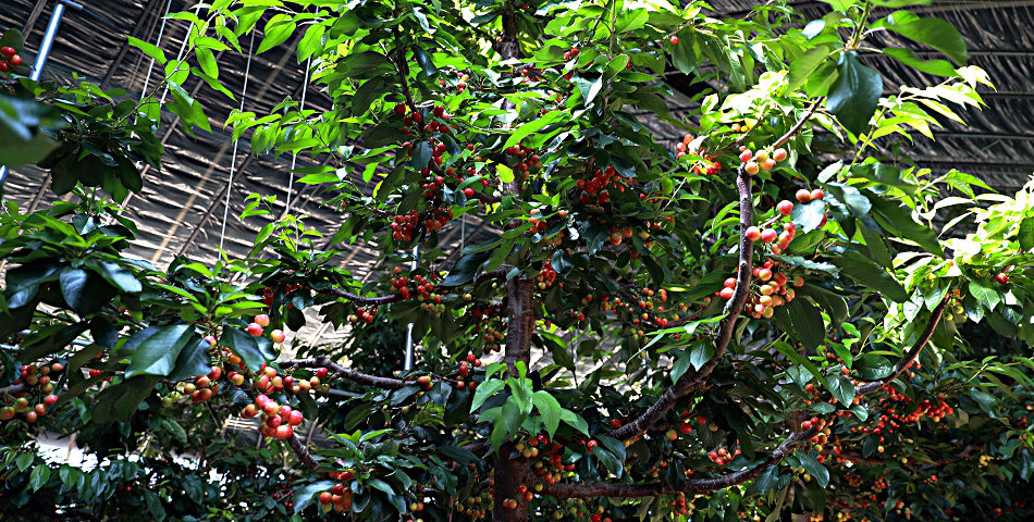1588324399121039.png 图片2.png