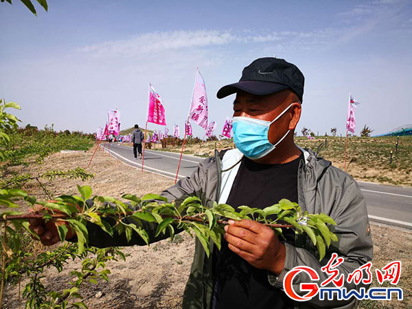 昔日荒山垃圾场 今日万亩生态园 昔日荒山垃圾场 今日万亩生态园