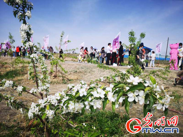 昔日荒山垃圾场 今日万亩生态园 昔日荒山垃圾场 今日万亩生态园
