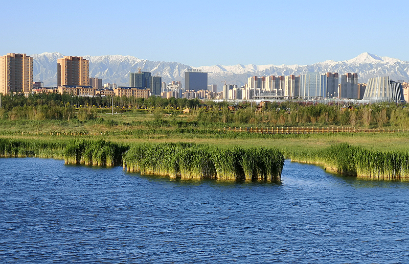 【小陇画报·87期】不望祁连山顶雪 错把张掖当江南