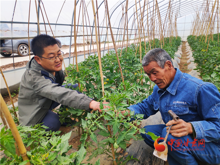 【甘肃省决战决胜脱贫攻坚】从无到有 包村干部孙亚强和群众一起缔造“沧海桑田”