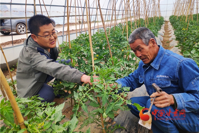 【甘肃省决战决胜脱贫攻坚】从无到有 包村干部孙亚强和群众一起缔造“沧海桑田”