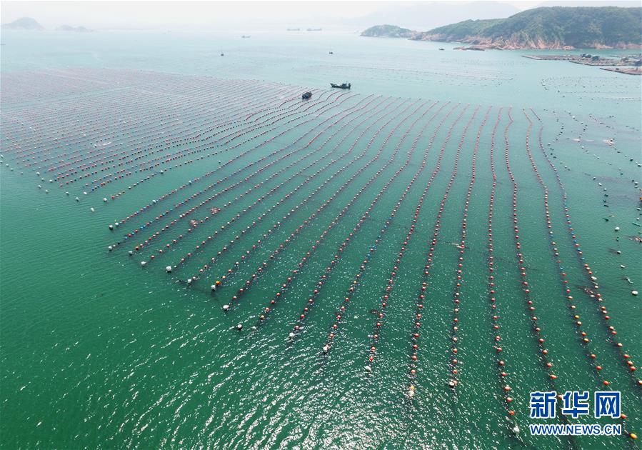 （经济）（1）福建连江出台措施促进鲍鱼产业转型升级