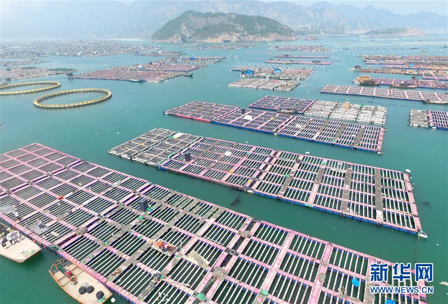 （经济）（2）福建连江出台措施促进鲍鱼产业转型升级