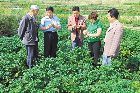 【代表委员履职故事】李恺委员：做群众的知心人暖心人