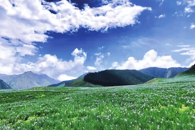 “领略不一样的夏季风情！”走进中国旅游避暑胜地武威