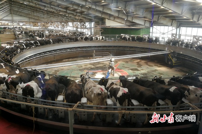 《无极平台网站_【贯彻落实习近平总书记参加甘肃代表团审议时的重要讲话精神系列报道之一】坚定信心不动摇——甘肃省干部群众以昂扬的斗志打赢打好脱贫攻坚战》