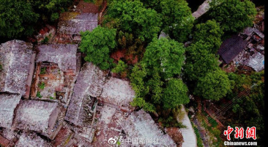 图为航拍的百年古村落。 图为航拍的百年古村落。