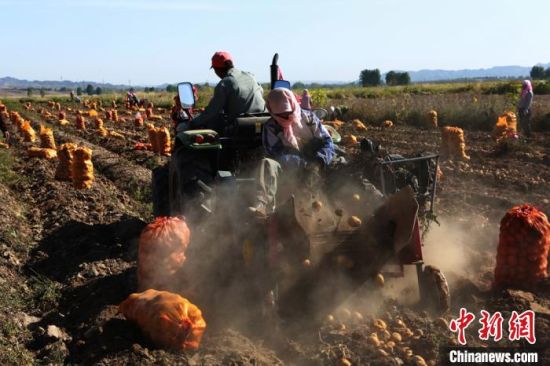 　图为武威市凉州区境内的农业机械化作业场景。　武威市委宣传部供图 摄