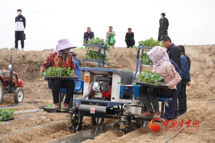 【甘肃省决战决胜脱贫攻坚】兰州榆中：推广机械化种菜 提升高原夏菜供应能力