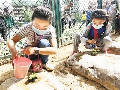 校园新鲜事丨校园小农场 我劳动我光荣