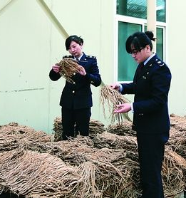 甘肃中药材出口同比增长近3倍