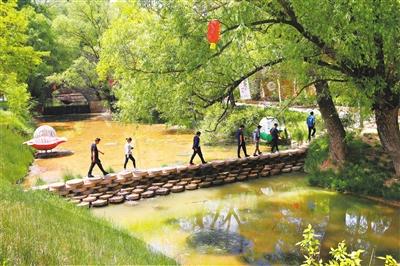 平凉泾川县郑家沟村：看青山绿水，听幽林鸟语