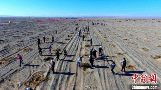 金塔县地处巴丹吉林沙漠和库姆塔格沙漠之间,植被脆弱、风大沙多,为谋求生存和发展,该县重视生态治理和防沙治沙。(资料图) 金塔县委宣传部供图 金塔县地处巴丹吉林沙漠和库姆塔格沙漠之间,植被脆弱、风大沙多,为谋求生存和发展,该县重视生态治理和防沙治沙。(资料图) 金塔县委宣传部供图