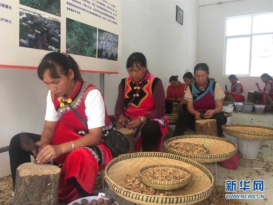 (新华全媒头条·聚焦“三区三州”脱贫攻坚·图文互动)(2)向深度贫困“堡垒”发起最后总攻——写在“三区三州”脱贫攻坚关键时点