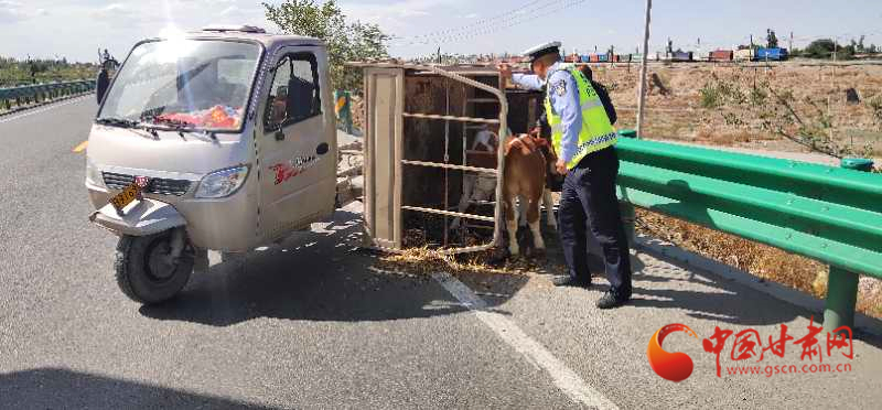 凉州交警及时救援侧翻车辆 保道路畅通人员安全（图）