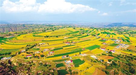 环县 山川梁峁披绿装