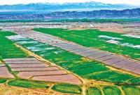【农业】今年底甘肃省将建成1520万亩高标准农田