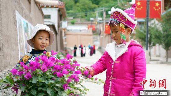 《无极五测速登录地址_生态