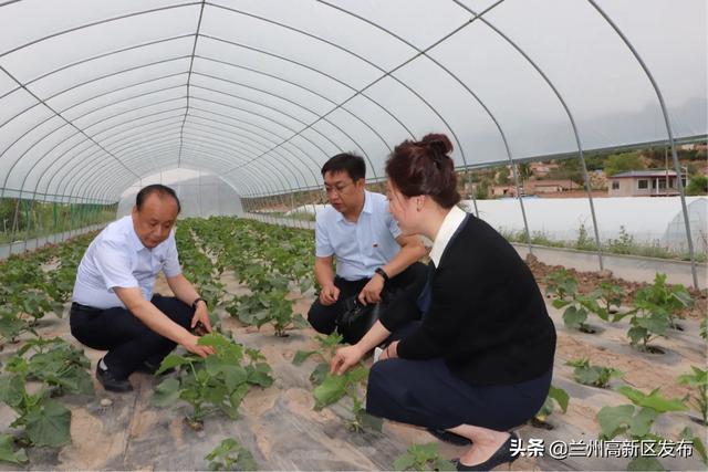 兰州高新区“两新”组织党委携手爱心企业开展“支部结对共建、助力脱贫攻坚”主题党日活动