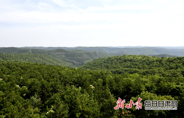 【甘肃生态环保媒体行】子午岭深处，一家三代人用生命守护黄土高原的“天然生态屏障”