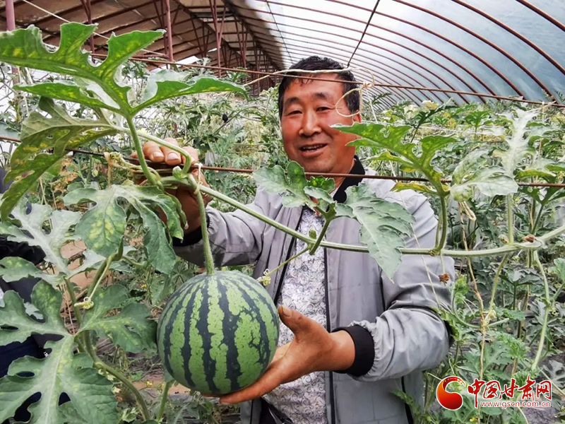 临夏县河西乡：瓜果飘香 产业兴旺