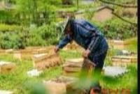 【脱贫】甘肃省4个贫困县7种农特产品获淘宝引流