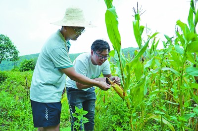 怀揣家国情,沉潜天地间——去往基层的青年博士服务团 怀揣家国情,沉潜天地间——去往基层的青年博士服务团
