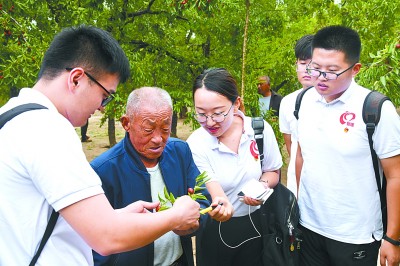 怀揣家国情,沉潜天地间——去往基层的青年博士服务团 怀揣家国情,沉潜天地间——去往基层的青年博士服务团