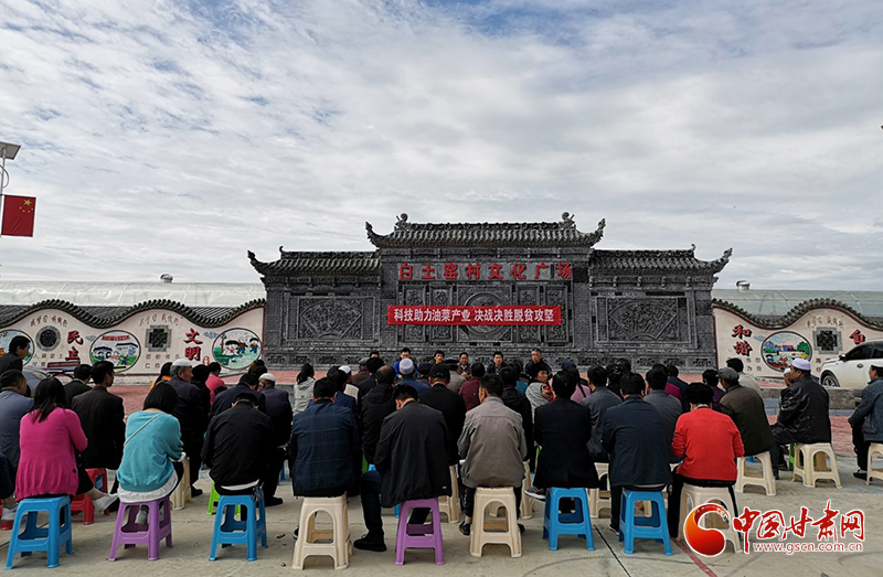 临夏县：现场培训“接地气” 助力“金色”产业发展