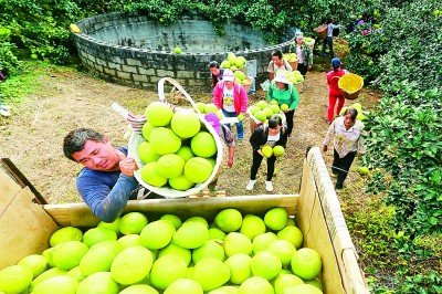 广西:打好“组合拳” 壮大“新动能” 广西:打好“组合拳” 壮大“新动能”