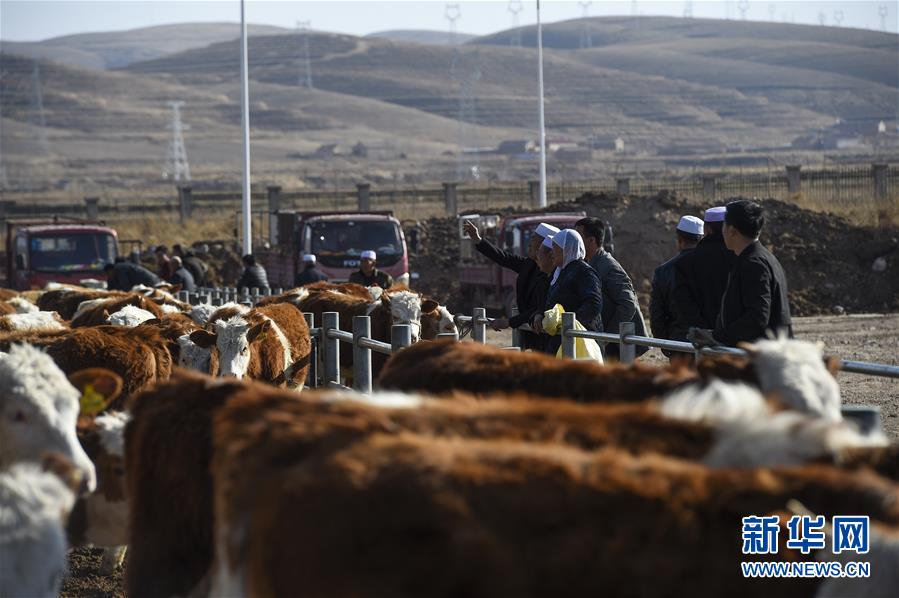 (在习近平新时代中国特色社会主义思想指引下——新时代新作为新篇章·习近平总书记关切事·图文互动)(2)六盘山下的誓言——来自宁夏的脱贫故事