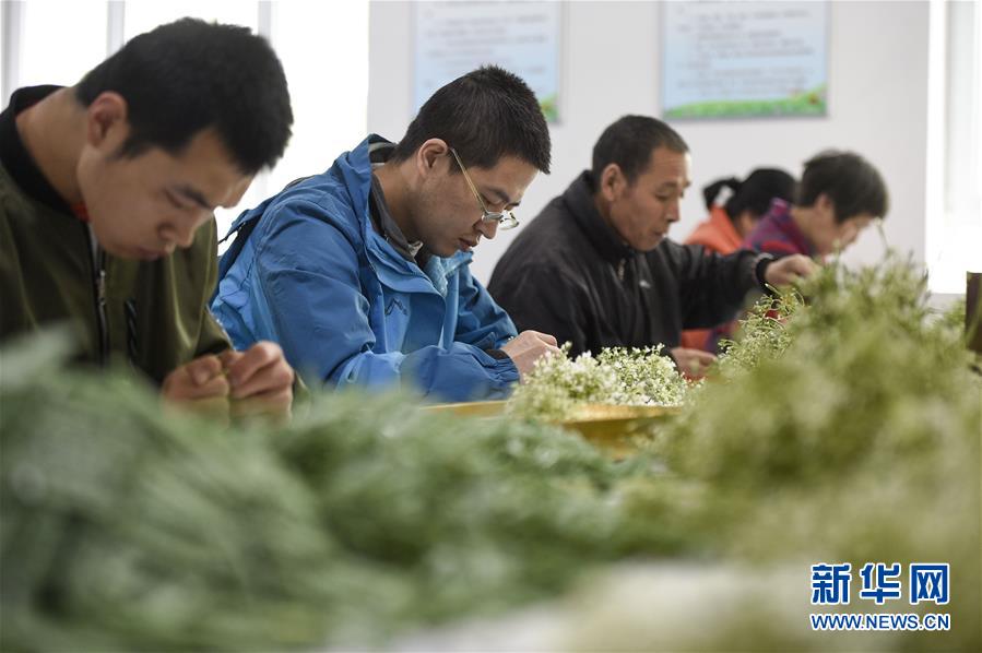 (在习近平新时代中国特色社会主义思想指引下——新时代新作为新篇章·习近平总书记关切事·图文互动)(5)六盘山下的誓言——来自宁夏的脱贫故事