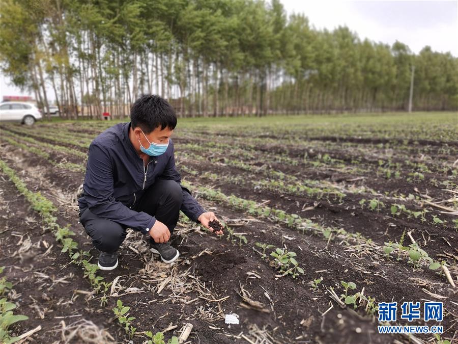 (在习近平新时代中国特色社会主义思想指引下——新时代新作为新篇章·习近平总书记关切事·图文互动)(6)让每一寸耕地都成为丰收的沃土——我国加强耕地保护推进“藏粮于地”