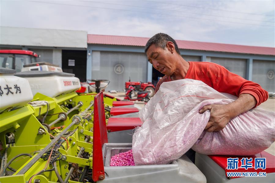 (在习近平新时代中国特色社会主义思想指引下——新时代新作为新篇章·习近平总书记关切事·图文互动)(8)让每一寸耕地都成为丰收的沃土——我国加强耕地保护推进“藏粮于地”