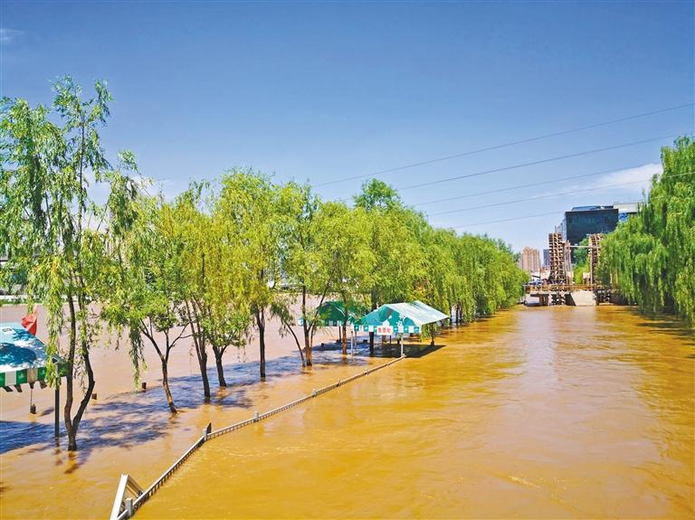 黄河涨水部分茶摊停业银滩湿地公园封闭栈道