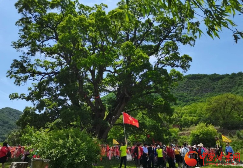 今年端午节13.18万人畅游“避暑胜地”平凉