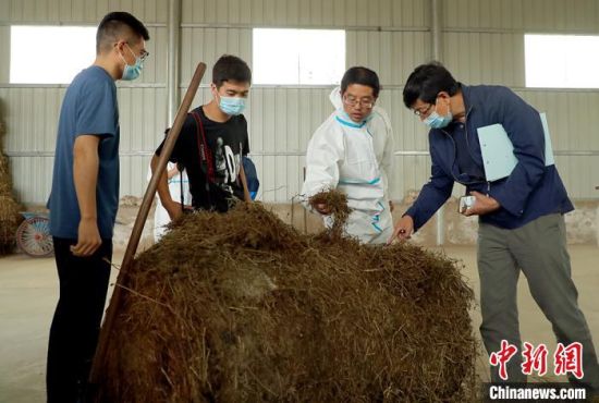 环县邀请的专家与庆阳伟赫乳业毛井奶山羊养殖基地工作人员交流饲料配制。　陈飞 摄