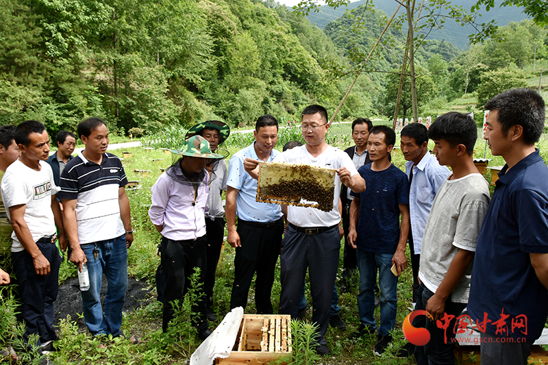 康县:中蜂养殖培训班开班啦