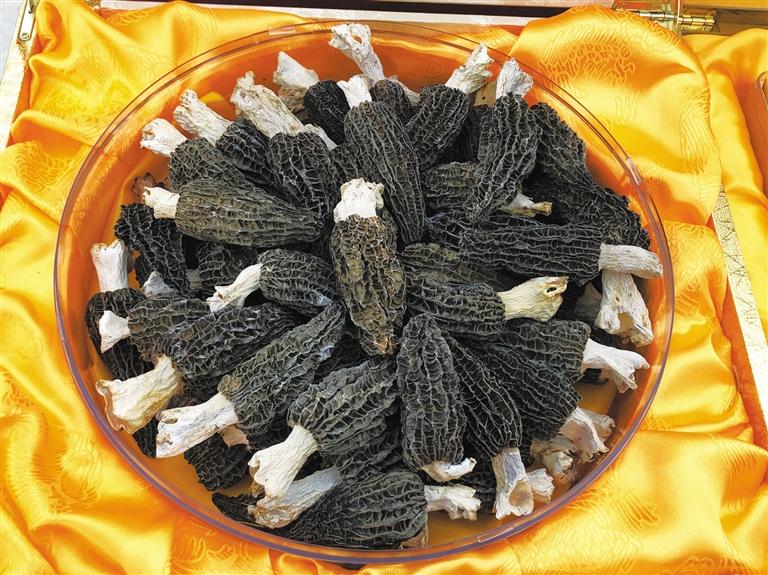甘肅美食丨菌類進入采摘季 農家樂里品美味