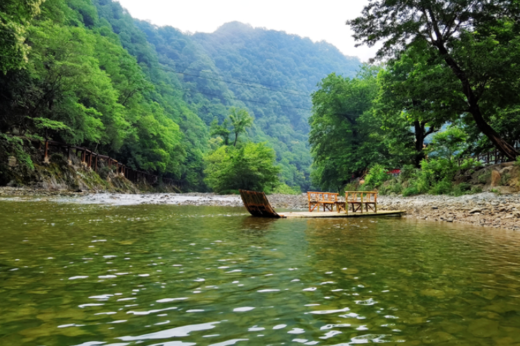 【小陇画报·95期】康县：来阳坝，“森”呼吸，我“氧”你