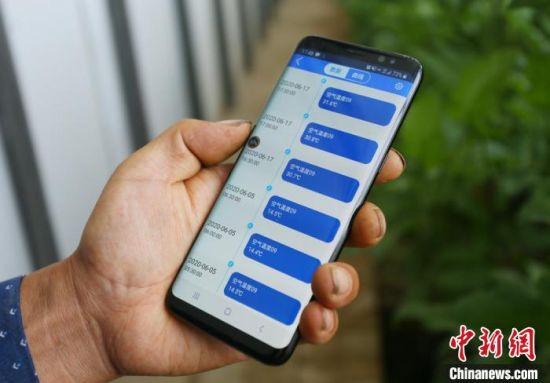 武威市凉州区日光温室种植已进入“智慧时代”，农户从手机APP上就可实时监测到大棚的空气温湿度、土壤温湿度、二氧化碳浓度等数据。　高展 摄