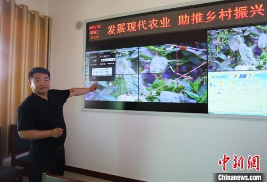 下双镇办公室副主任杨志强正在通过数据监测了解农作物生长状况。 高展 摄 下双镇办公室副主任杨志强正在通过数据监测了解农作物生长状况。 高展 摄