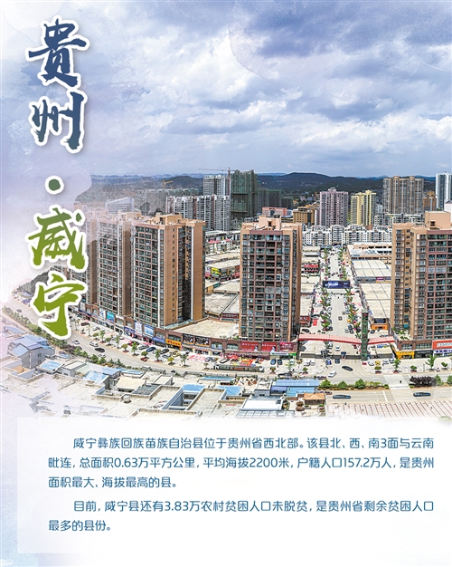 res01_attpic_brief (12).jpg